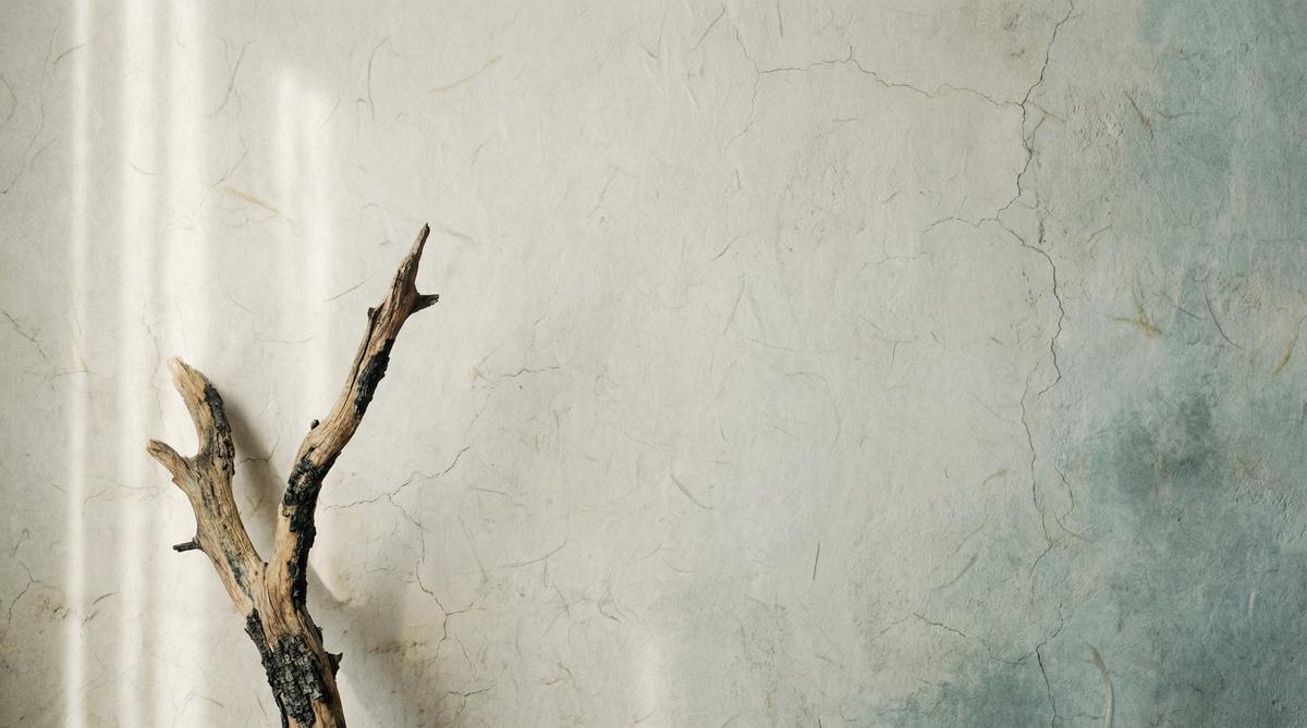 蘑菇视频自然留白空间-极简侘寂空间视频