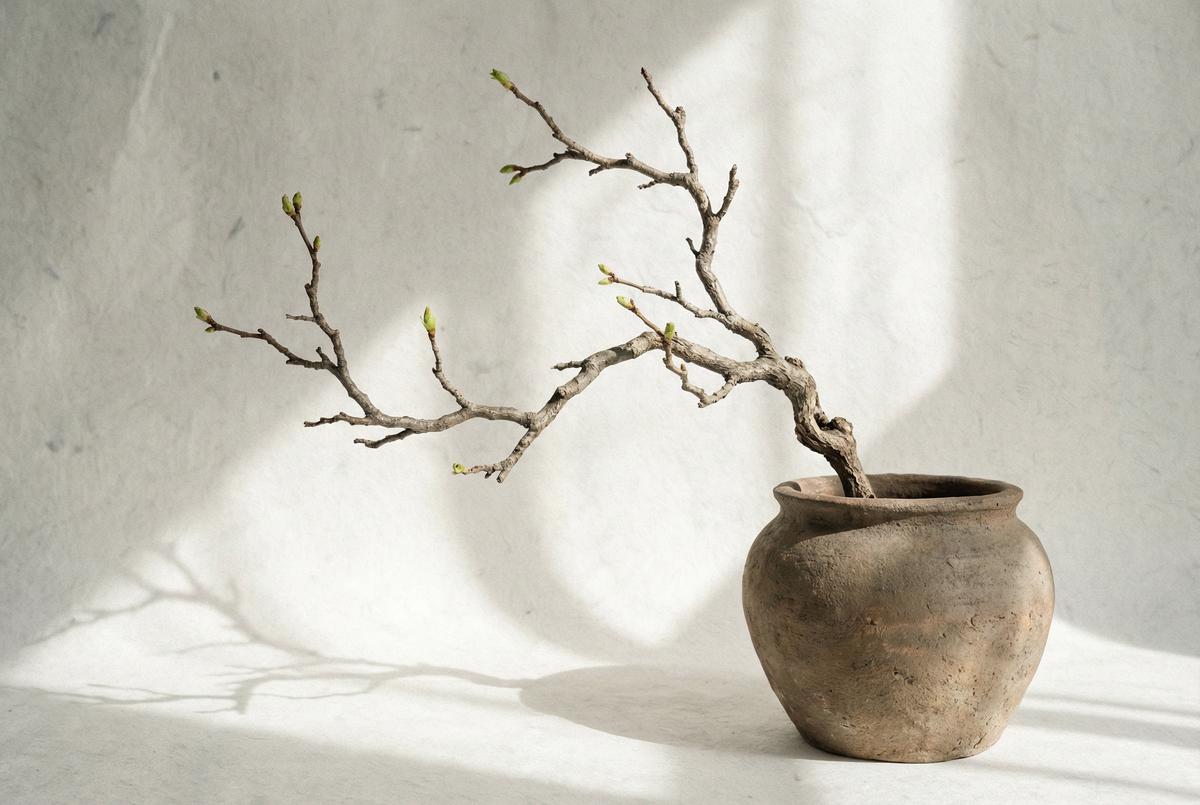 蘑菇视频AI灵感-侘寂美学生成视频教程