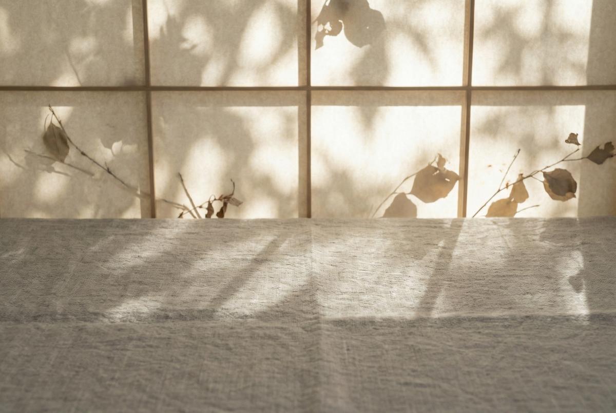 蘑菇视频自然留白空间-光影留白视频