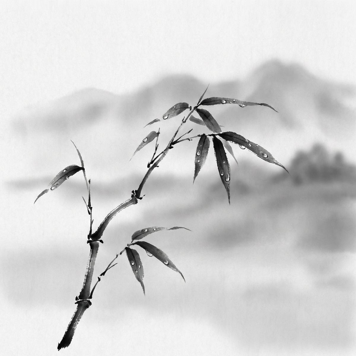 蘑菇视频自然留白空间-水墨留白视频